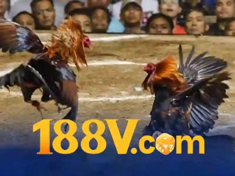 188v. – Khám phá nền tảng đổi mới và trải nghiệm 188v com ios