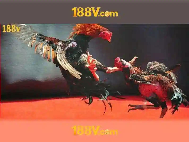 Một phạm vi mới giữa gia tốc và cảm giác