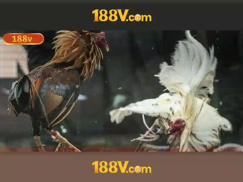 Khám phá 188v