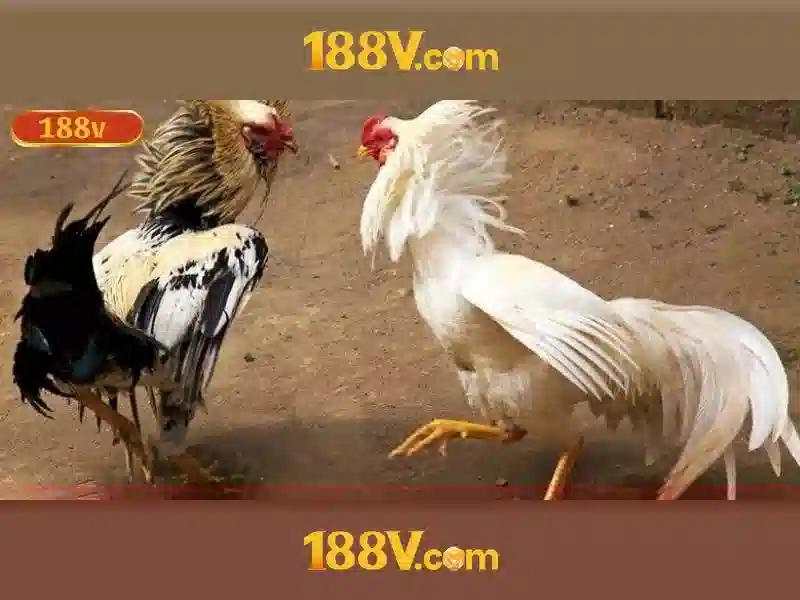 188v .com - Nền tảng đổi mới và trải nghiệm số