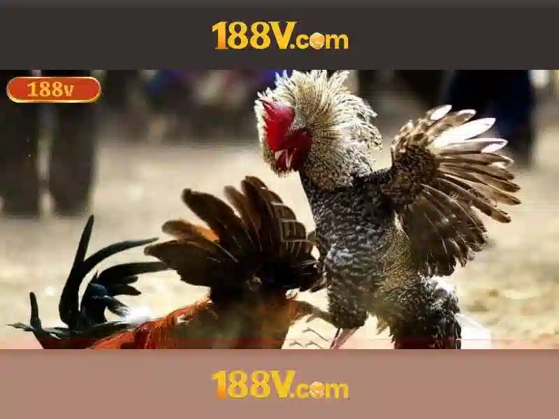 188v đăng nhập – Tổng quan chủ đề và giá trị cốt lõi