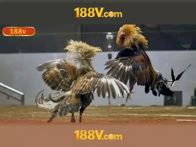 Khía cạnh khoa học của 188v