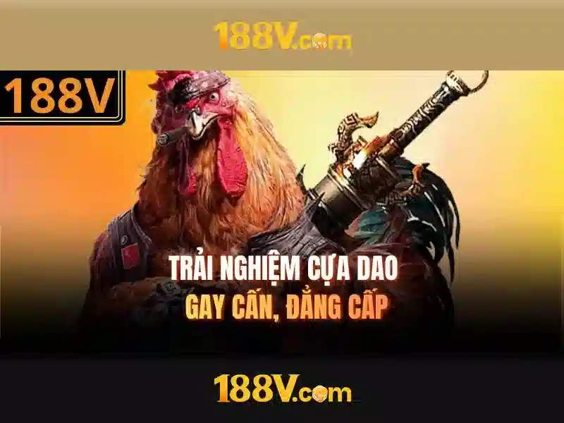 Kỹ thuật và triển khai
