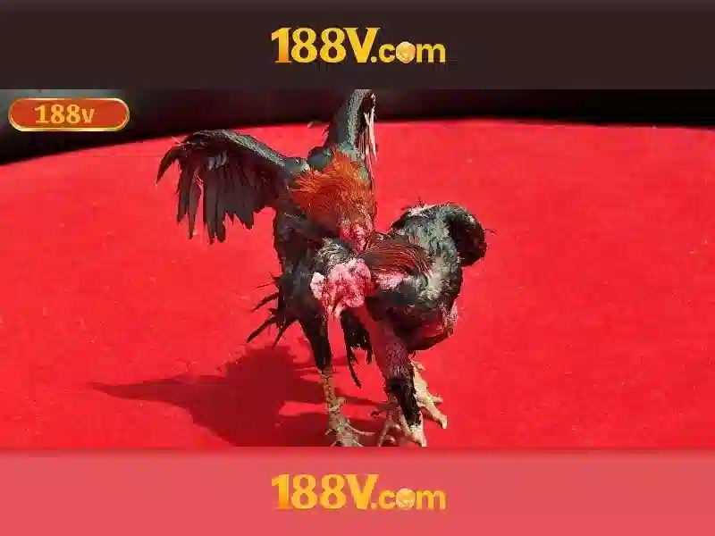 nhận thưởng 188v – tổng quan chủ đề và giá trị cốt lõi