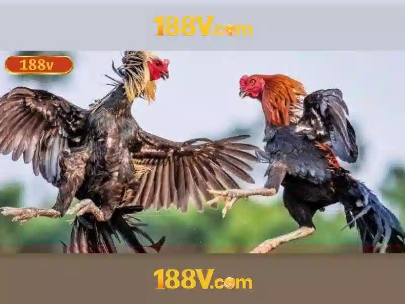 188v: Khám phá một khái niệm công nghệ