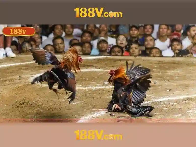 188v: Khái niệm và ảnh hưởng của một trào lưu nghệ thuật công nghệ