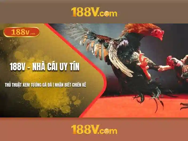 188v và hành trình của một ký hiệu