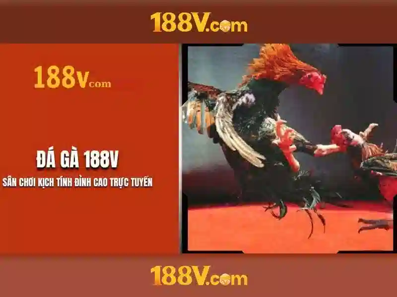 khuyến mãi 188v: Lợi ích, code 188v mới nhất và ứng dụng tiện lợi