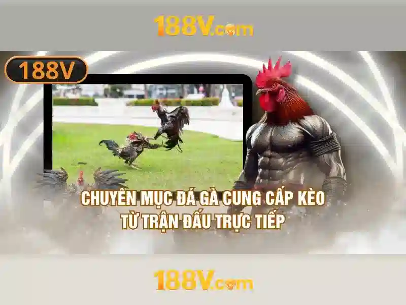 ưu đãi 188v – tầm nhìn tương lai