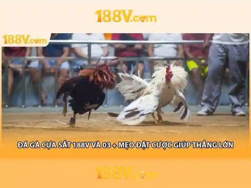 188V: Khái niệm và ứng dụng của điện áp 188V