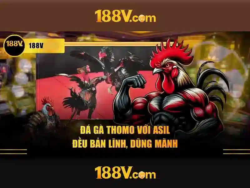 188v: Khám phá ý nghĩa và ứng dụng