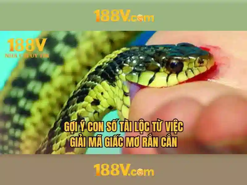 188v: một hành trình khám phá