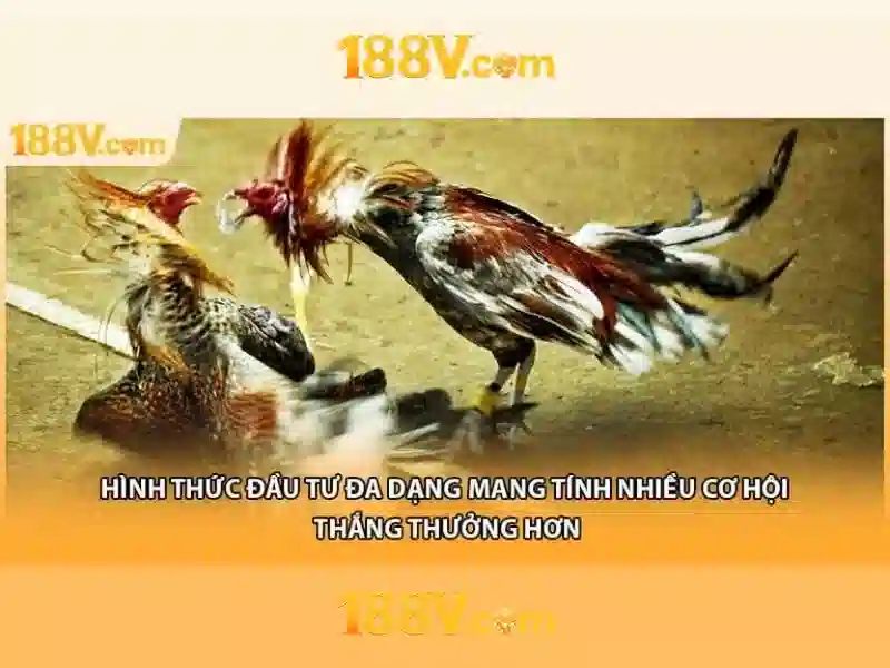 'Ảnh hưởng và ứng dụng'