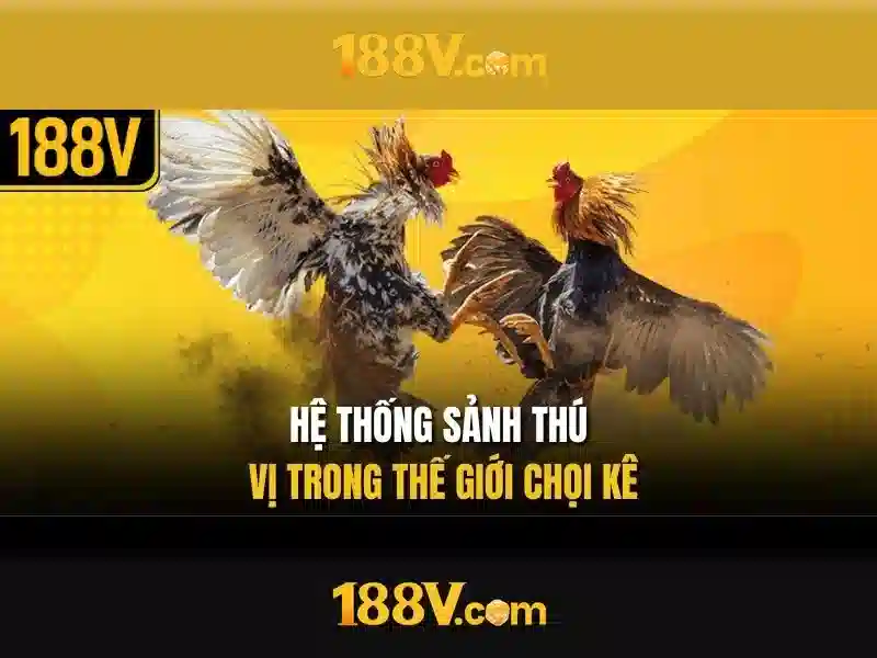 188v và hành trình khám phá