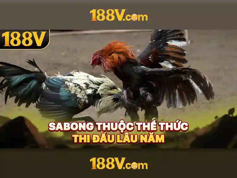 Kết luận về 188v