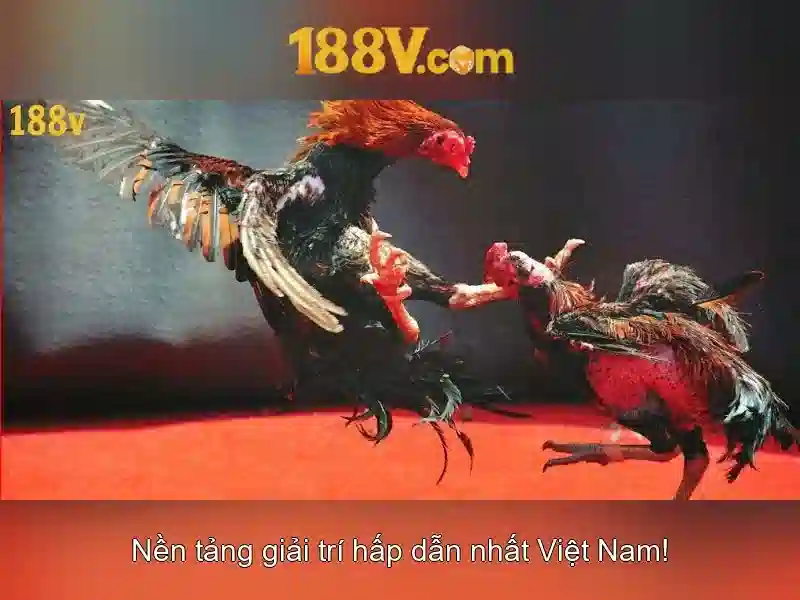 188v: một ký ức số trong thế hệ mới