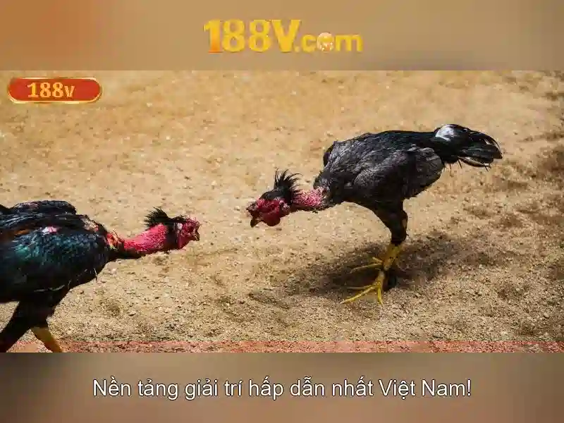 188v: Khái niệm và tầm nhìn