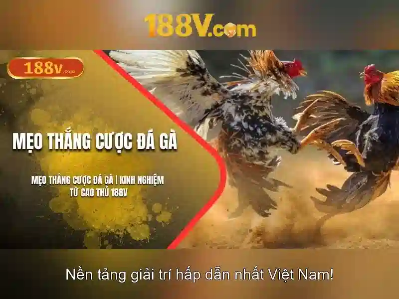 188V: Hiểu về điện áp và an toàn
