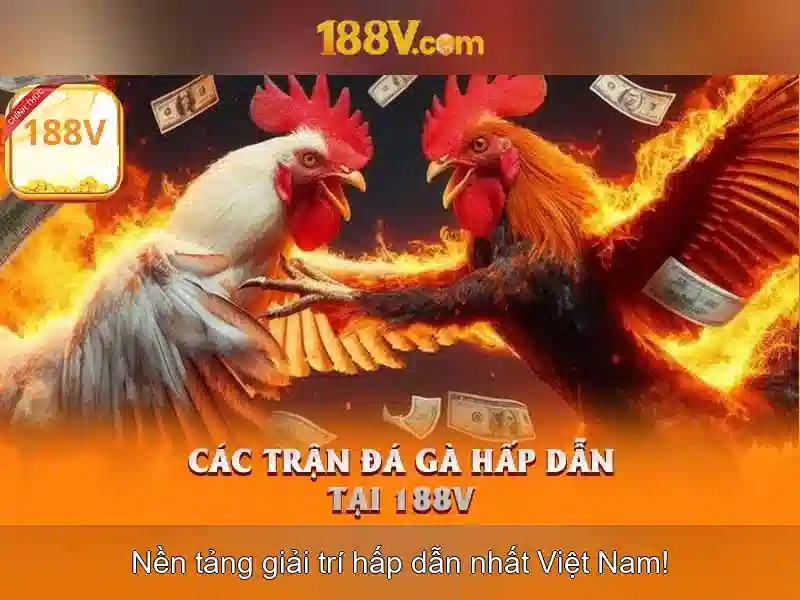 Lịch sử 188v