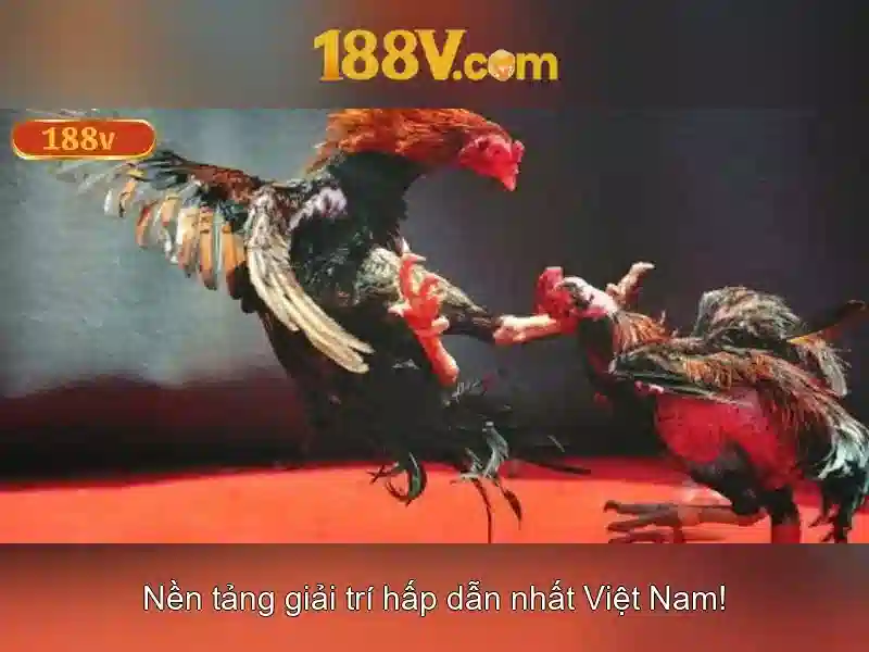 ưu đãi 188v - Trải nghiệm và đánh giá 188v