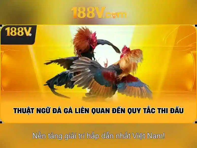 Kết luận về 188V