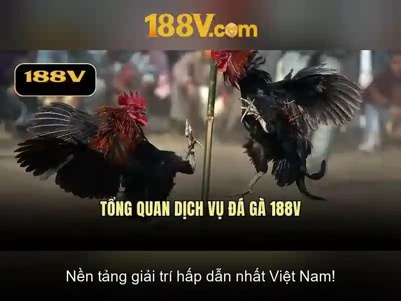 Khái niệm của 188V