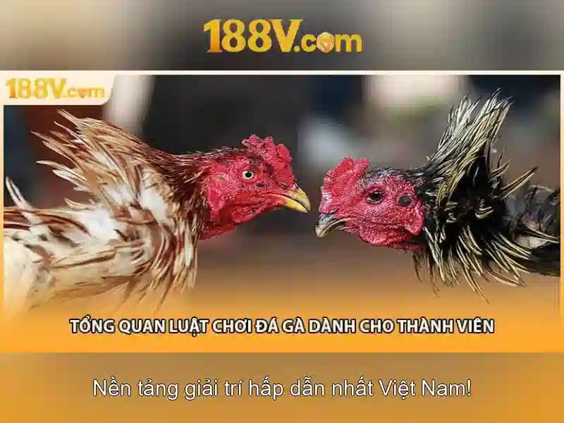 Khám phá 188V: điện áp và tương lai nguồn năng lượng