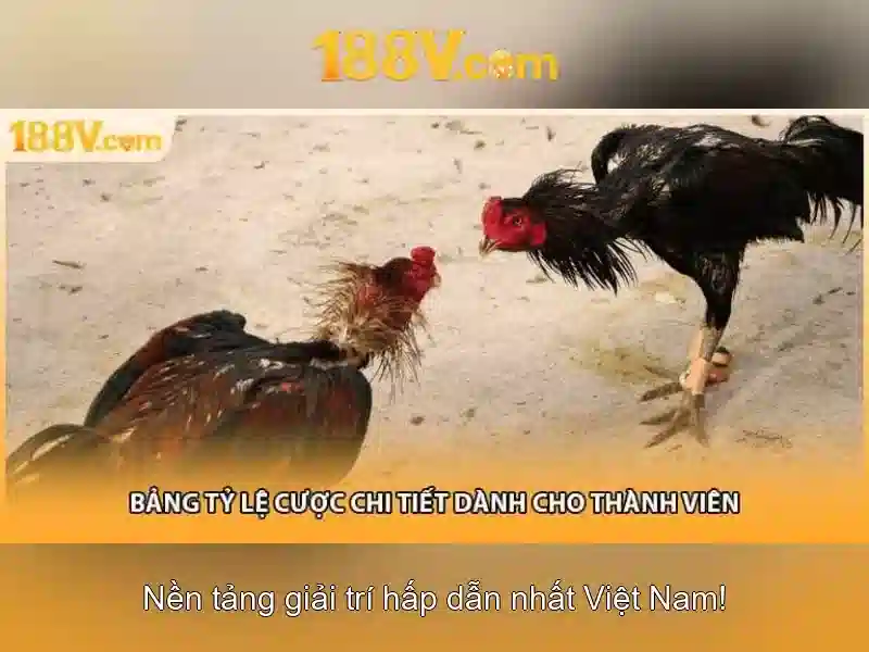 An toàn và rủi ro khi làm việc với 188V