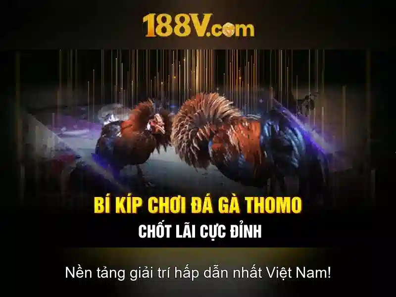 Nguồn gốc và sự phát triển