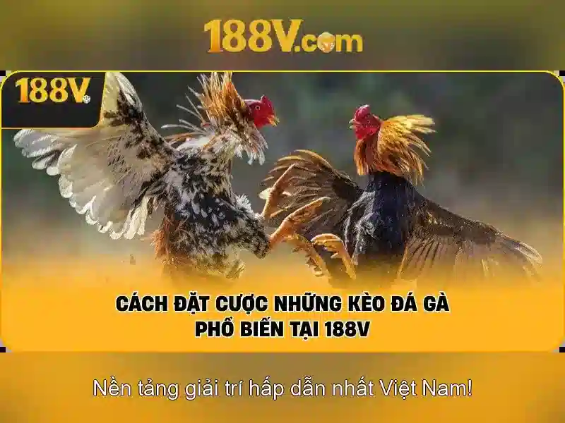 Con người và cộng đồng trong 188v