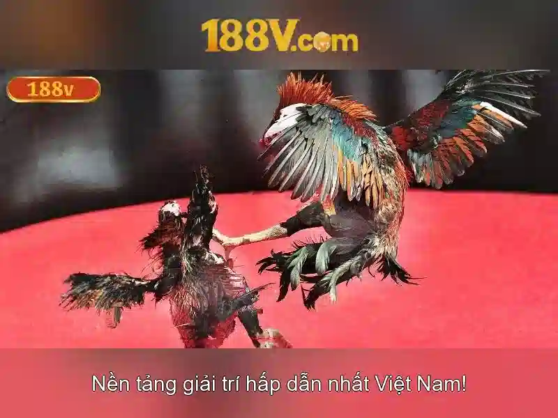 Định mức an toàn và cách đo 188V