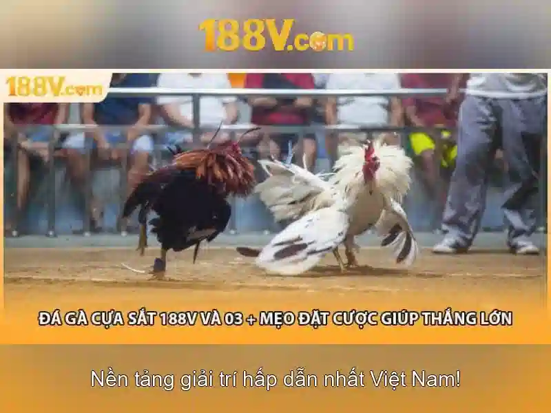 Ý nghĩa và nguồn gốc của 188v