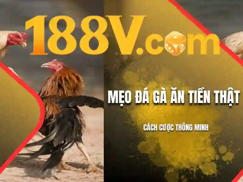 Quy luật của 188v
